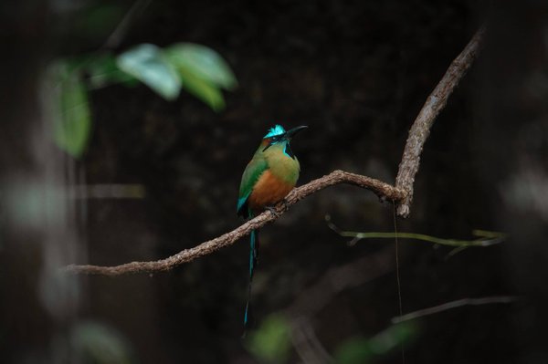 comment soulager les brûlures d'estomac pendant la grossesse